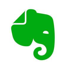 Evernote's icon is a white background, on top of this is a simplified version of an elephant's head in a light green. The elephant's head has its trunk to the right, its body would be on the left if it were included.
